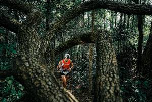 BIB: 
                            <button type="button" onclick="openModal(25663509)" class="btn btn-primary btn-sm float-right btn-popup" data-toggle="modal" data-target=".modal-high-quality">
                        <i class="fas fa-shopping-cart"></i> Add to Cart
                    </button>
                                            <button type="button" onclick="isThisMe(25663509, true)" class="btn btn-success btn-sm float-right btn-popup btn-isme hidden" data-toggle="tooltip" data-placement="bottom" title="นี่คือรูปของคุณใช่ไหม คลิกที่นี่เพื่อเอาเข้าอัลบั้ม">
                        <i class="fas fa-plus"></i> Add to album
                    </button>
                    <button type="button" onclick="isThisMe(25663509, false)" class="btn btn-warning btn-sm float-right btn-popup btn-isnotme hidden">
                        <i class="fas fa-ban"></i> Remove from album
                    </button>